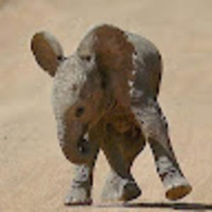 Meet your Posher, Caroline